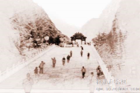 梦见走险路　周公解梦之梦到走险路