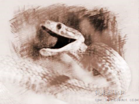 梦见大蛇咬　周公解梦之梦到大蛇咬