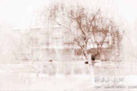 梦见水边垂柳　周公解梦之梦到水边垂柳