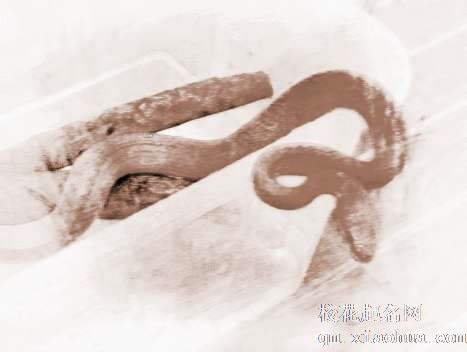 梦见大蛇追　周公解梦之梦到大蛇追