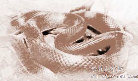 梦见金色大蛇　周公解梦之梦到金色大蛇