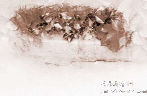 梦见捉大蛇　周公解梦之梦到捉大蛇