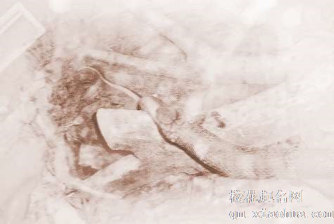 梦见蛇逃跑　周公解梦之梦到蛇逃跑