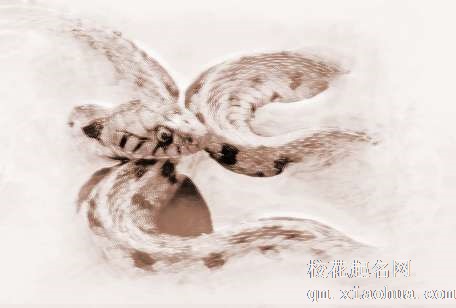 梦见蛇咬伤　周公解梦之梦到蛇咬伤