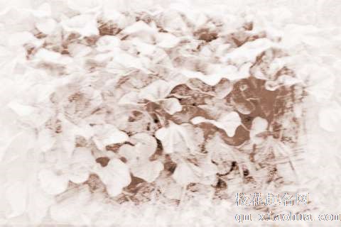 梦见苋菜 葵菜　周公解梦之梦到苋菜 葵菜