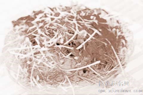 梦见豌豆苗　周公解梦之梦到豌豆苗