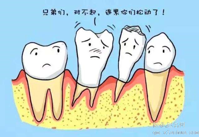 梦见牙松周公解梦，梦见牙松是什么意思？