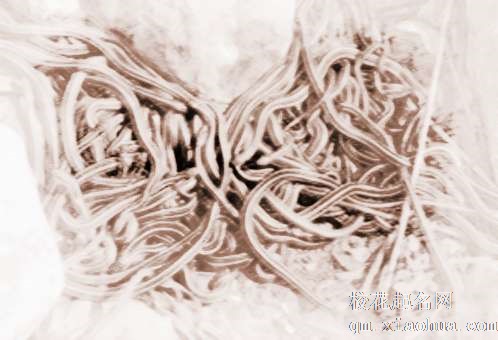 梦见蛇群　周公解梦之梦到蛇群