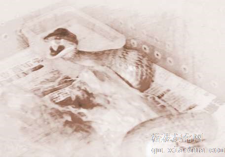 梦见蛇在家里　周公解梦之梦到蛇在家里