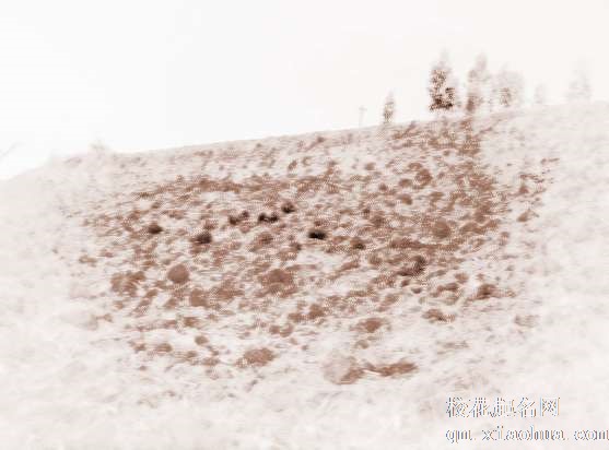 梦见田地荒废　周公解梦之梦到田地荒废