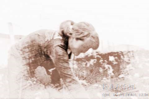 梦见采鲜花朵　周公解梦之梦到采鲜花朵