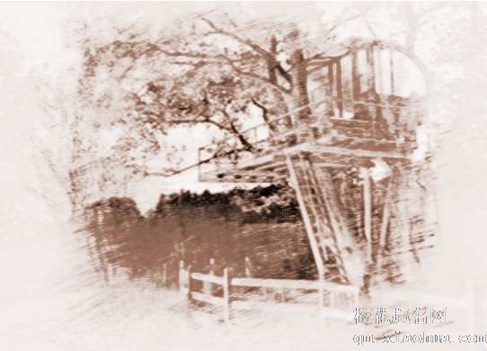 梦见树屋意思　周公解梦之梦到树屋意思