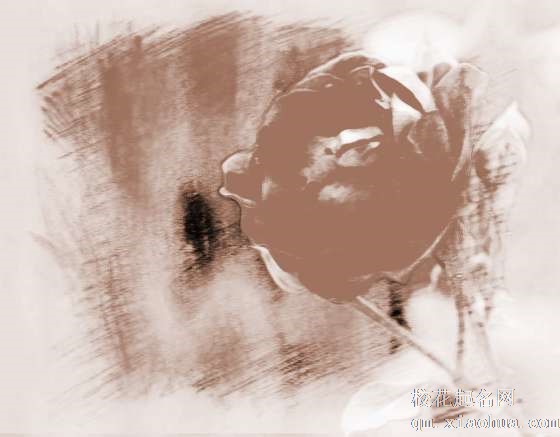 梦见花朵鲜花　周公解梦之梦到花朵鲜花