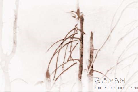 梦见树枝残枝　周公解梦之梦到树枝残枝