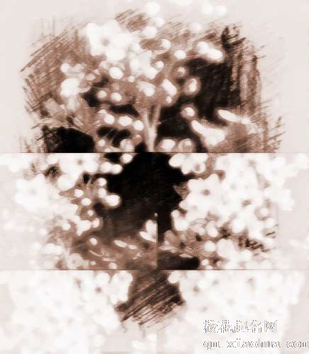 梦见各种花开　周公解梦之梦到各种花开