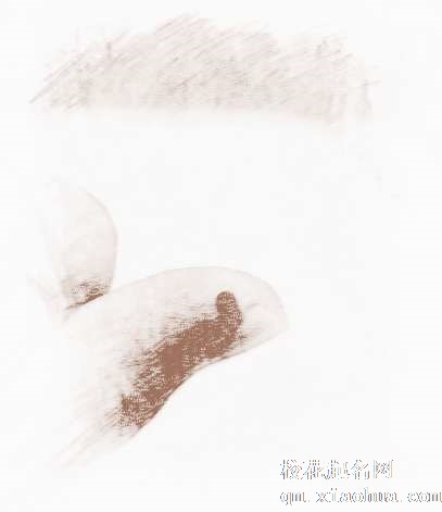 梦见儿子流血　周公解梦之梦到儿子流血