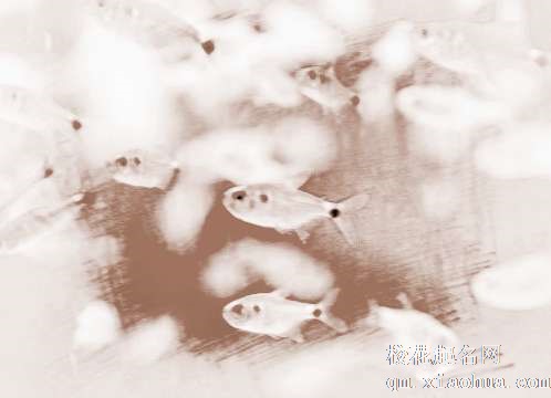 梦见梦见鱼要咬我　周公解梦之梦到梦见鱼要咬我