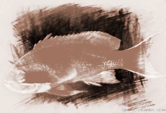 梦见蛇跟鱼　周公解梦之梦到蛇跟鱼