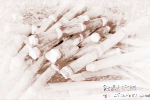 梦见甘蔗意思　周公解梦之梦到甘蔗意思