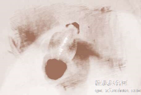 梦见鱼变蛇　周公解梦之梦到鱼变蛇