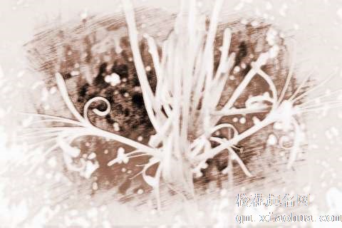 梦见富贵竹开　周公解梦之梦到富贵竹开