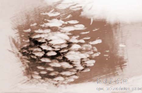 梦见鱼放生　周公解梦之梦到鱼放生