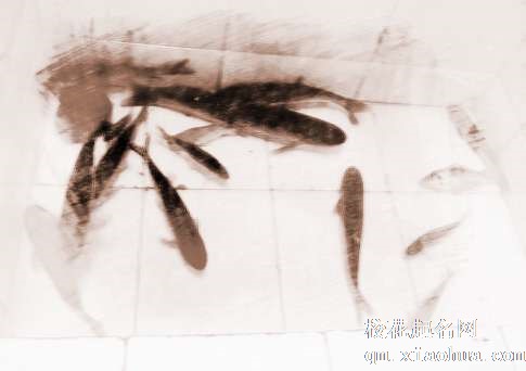 梦见送鱼　周公解梦之梦到送鱼