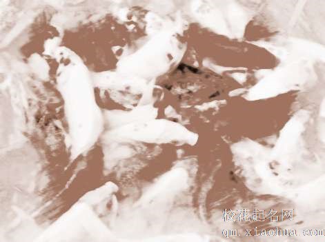 梦见白色的鱼　周公解梦之梦到白色的鱼