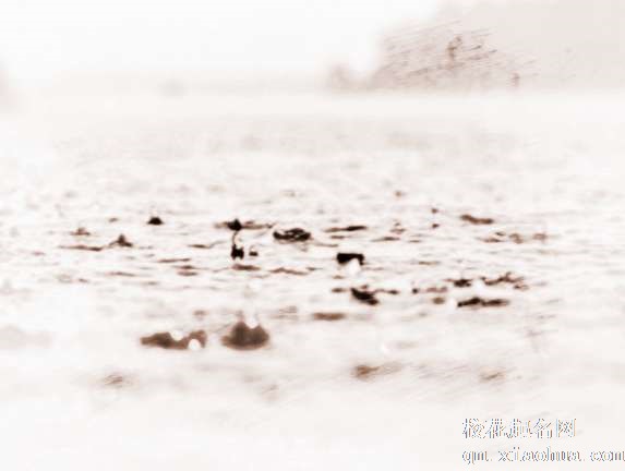 梦见下大雨里　周公解梦之梦到下大雨里