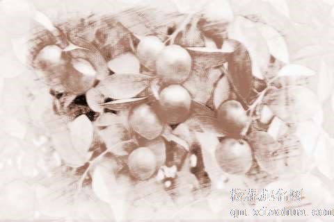 梦见梦见很多桔子　周公解梦之梦到梦见很多桔子