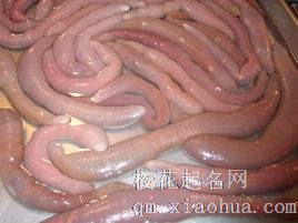 梦见肠周公解梦，梦见肠是什么意思？