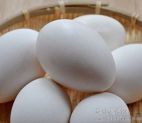 梦见鹅蛋周公解梦，梦见鹅蛋是什么意思？