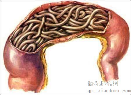 梦见肠子周公解梦，梦见肠子是什么意思？