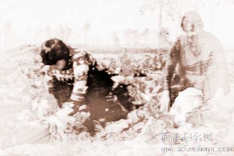 梦见地里白菜　周公解梦之梦到地里白菜