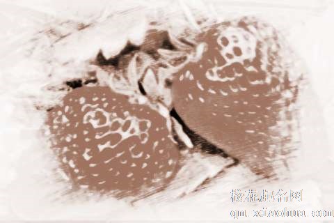 梦见大红草莓　周公解梦之梦到大红草莓