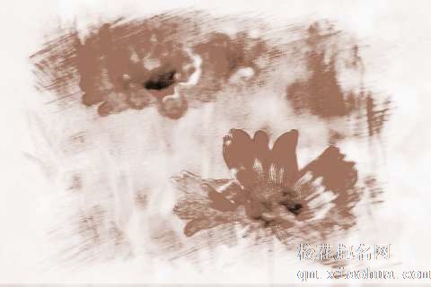 梦见两朵花　周公解梦之梦到两朵花