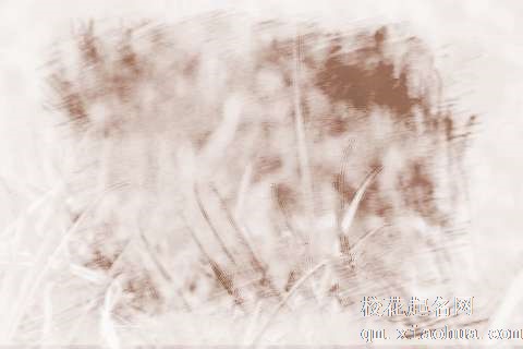 梦见草、青草　周公解梦之梦到草、青草