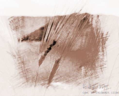 梦见稞麦、青稞　周公解梦之梦到稞麦、青稞