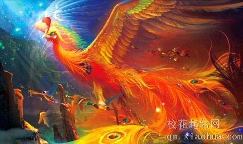 梦见凤凰周公解梦，梦见凤凰是什么意思？