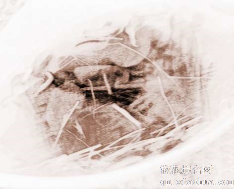 梦见莼菜、菁菜　周公解梦之梦到莼菜、菁菜