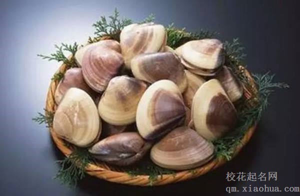 梦见蛤蜊周公解梦，梦见蛤蜊是什么意思？