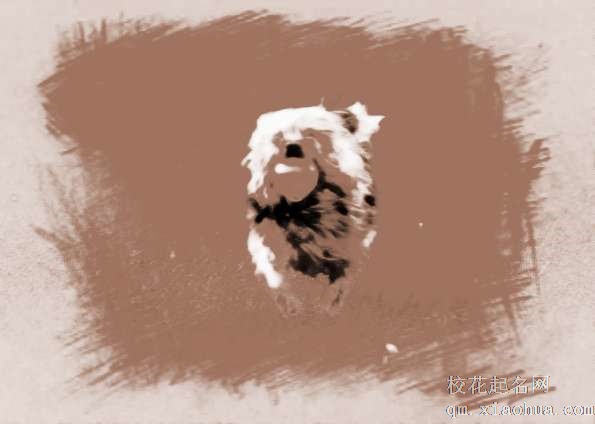 梦见狗咬老鼠　周公解梦之梦到狗咬老鼠