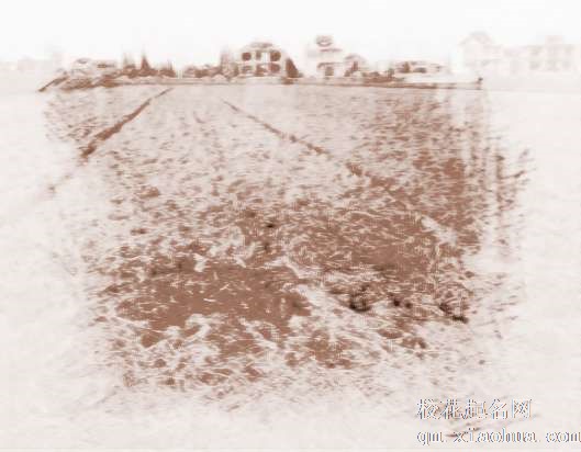 梦见稻草、麦　周公解梦之梦到稻草、麦