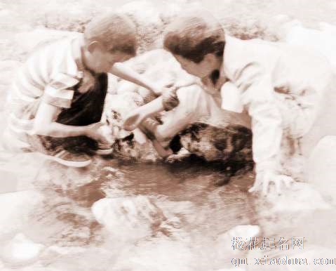 梦见抓住螃蟹　周公解梦之梦到抓住螃蟹