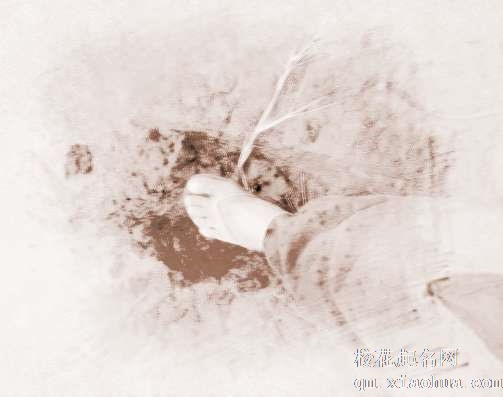 梦见踩到牛粪　周公解梦之梦到踩到牛粪