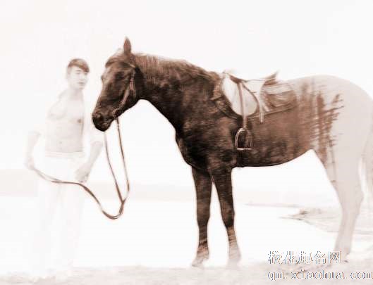 梦见牵马　周公解梦之梦到牵马