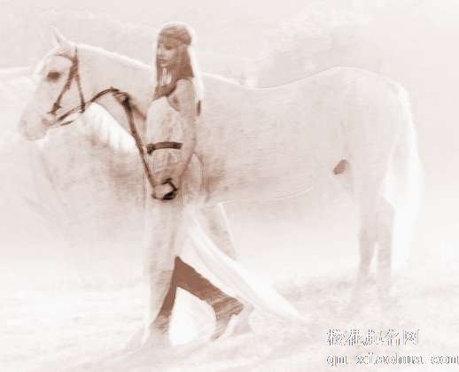 梦见大白马　周公解梦之梦到大白马