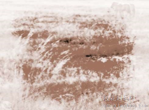 梦见白马奔跑　周公解梦之梦到白马奔跑