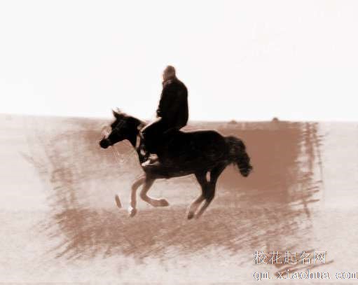 梦见有人骑马　周公解梦之梦到有人骑马