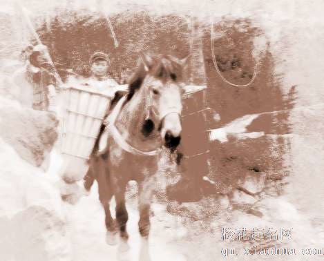 梦见马拉东西　周公解梦之梦到马拉东西